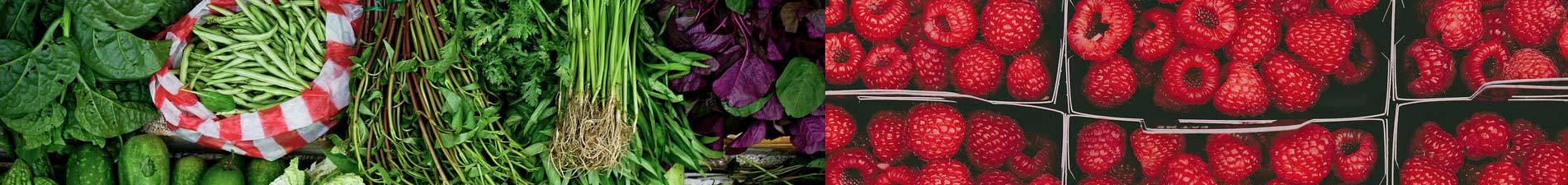 Fresh Fruits and Greens - Mission, BC